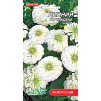 Насіння - Майорці Білі, карликові, 0,2 г. Насіння - Майорці Білі, карликові, 0,2 г.