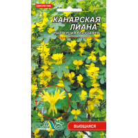 Семена - Настурция Канарская лиана, 1 г.