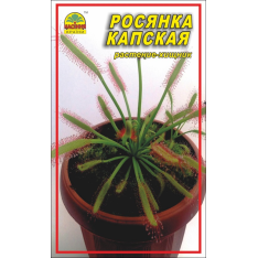 Насіння - Росичка капська, 5 шт. Насіння - Росичка капська, 5 шт.
