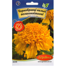 Семена - Бархатцы Низкие, крупноцветковые, 0,3 г. Семена - Бархатцы Низкие, крупноцветковые, 0,3 г.