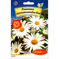 Насіння - Ромашка Біла, хризантемовидна, 0,4 г.
