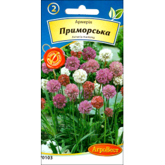 Семена - Армерия Приморская, 0,1 г. Семена - Армерия Приморская, 0,1 г.