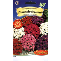 Семена - Астра Пиноккио, карликовая, смесь, 0,2 г.