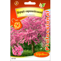 Семена - Церцис европейский, 10 шт.