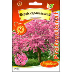 Насіння - Церцис європейський, 10 шт.