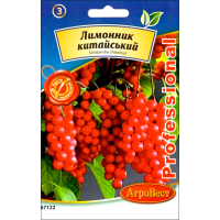 Насіння - Лимонник китайський //, 10 шт.