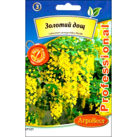 Насіння - Золотий дощ //, 10 шт.