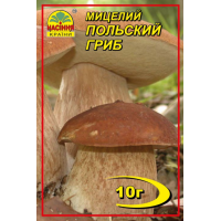 Мицелий (зерновой) - Польский гриб, 10 г.