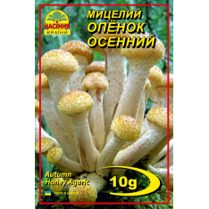 Міцелій (зерновий) - Опеньок осінній, 10 г.