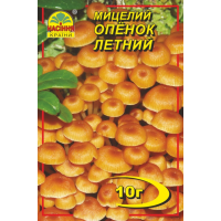 Міцелій (зерновий) - Опеньок літній, 10 г.