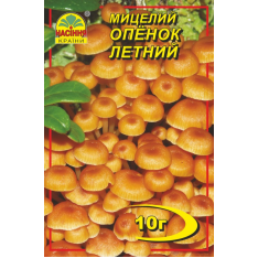 Міцелій (зерновий) - Опеньок літній, 10 г.