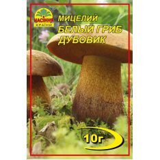 Міцелій (зерновий) - Білий гриб Дубовик, 10 г.