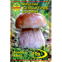 Мицелий (зерновой) - Белый гриб Боровик, 10 г.