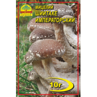 Мицелий (зерновой) - Шиитаке Императорский, 10 г.
