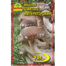 Мицелий (зерновой) - Шиитаке Императорский, 10 г.