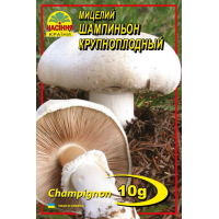 Міцелій (зерновий) - Печериця Великоплідна, 10 г.