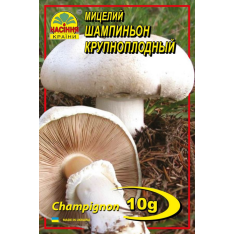 Міцелій (зерновий) - Печериця Великоплідна, 10 г.