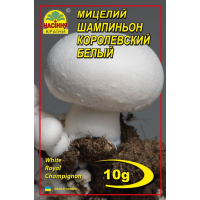 Мицелий (зерновой) - Шампиньон Королевский белый, 10 г.