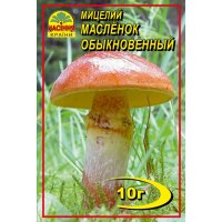 Мицелий (зерновой) - Маслёнок обыкновенный, 10 г.