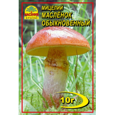 Мицелий (зерновой) - Маслёнок обыкновенный, 10 г.