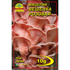 Міцелій (зерновий) - Глива рожева, 10 г.