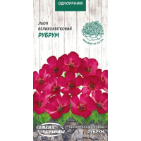 Семена - Лён Рубрум, крупноцветковый, 0,25 г.