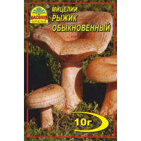 Міцелій (зерновий) - Рижик звичайний, 10 г.