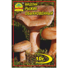 Мицелий (зерновой) - Рыжик обыкновенный, 10 г. Мицелий (зерновой) - Рыжик обыкновенный, 10 г.