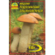 Мицелий (зерновой) - Подосиновик обыкновенный, 10 г.