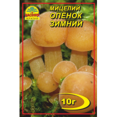 Міцелій (зерновий) - Опеньок зимовий, 10 г.