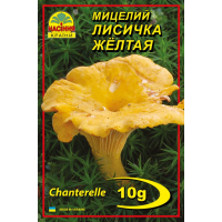 Міцелій (зерновий) - Лисичка жовта, 10 г.