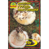 Мицелий (зерновой) - Груздь настоящий, 10 г.