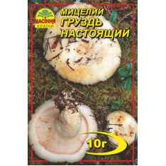 Міцелій (зерновий) - Груздь справжній, 10 г.