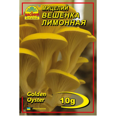 Міцелій (зерновий) - Глива лимонна, 10 г.