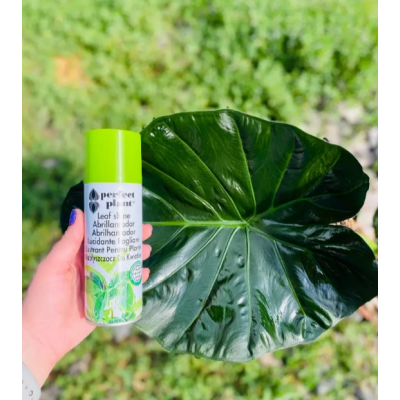 Полироль - Perfect Plant, спрей-блеск для цветов, 200 мл.