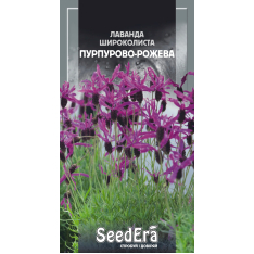 Семена - Лаванда Широколистная Пурпурно-розовая, 0,1 г. Семена - Лаванда Широколистная Пурпурно-розовая, 0,1 г.