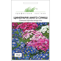 Семена - Цинерария Амиго, смесь, Hem Zaden (Нидерланды), 10 шт.