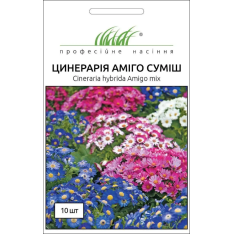 Семена - Цинерария Амиго, смесь, Hem Zaden (Нидерланды), 10 ... Семена - Цинерария Амиго, смесь, Hem Zaden (Нидерланды), 10 ...