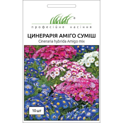 Семена - Цинерария Амиго, смесь, Hem Zaden (Нидерланды), 10 шт.