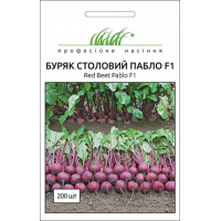 Семена - Свекла Пабло F1, Bejo Zaden (Нидерланды), 200 шт. Семена - Свекла Пабло F1, Bejo Zaden (Нидерланды), 200 шт.