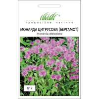 Семена - Монарда цитрусовая (бергамот), Hem Zaden (Нидерланды), 0.1 г.