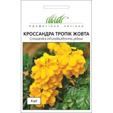 Насіння - Кроcсандра Тропік жовта, Pan American (США), 4 шт. Насіння - Кроcсандра Тропік жовта, Pan American (США), 4 шт.