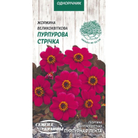 Насіння - Жоржина Пурпурна стрічка, великоквіткова, 0,2 г.