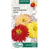 Семена - Цинния Кактусоцветная, смесь, 0,3 г.