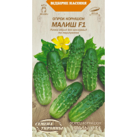 Насіння - Огірок Малиш F1, 0,5 г.
