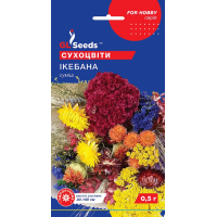 Насіння - Сухоцвіти Ікебана, суміш, 0,5 г.