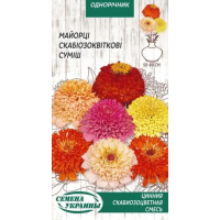 Насіння - Майорці Скабіозоквіткові, суміш, 0,5 г. Насіння - Майорці Скабіозоквіткові, суміш, 0,5 г.