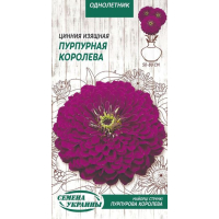 Семена - Цинния Пурпурная королева, изящная, 0,5 г.