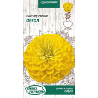 Насіння - Майорці Ореол, стрункі, 0,5 г.
