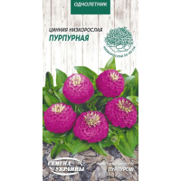 Семена - Цинния Пурпурная, низкорослая, 0,5 г.